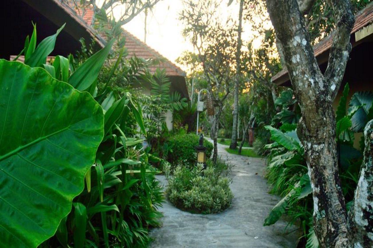 Hotel Peneeda View