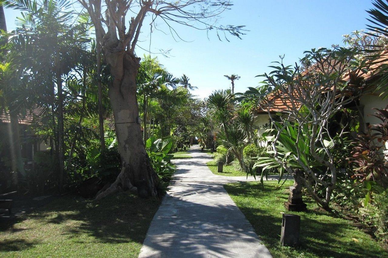 Peneeda View